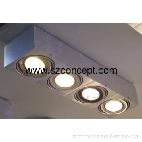40W LED Ceiling Light With 4pcs AR111 10W Lamp - P